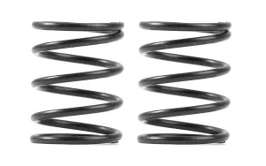 XRay 3S Spring Set C=4.0 (2)