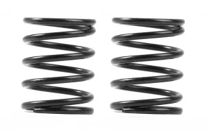XRay 3S Spring Set C=4.5 (2)