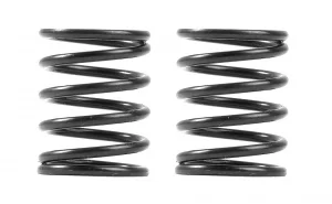 XRay 3S Spring Set C=5.5 (2) ** CLEARANCE **