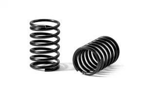XRay Spring Set D=1.8 (30 LB) Light-Purple - Medium-Medium-Hard - Rear (2)
