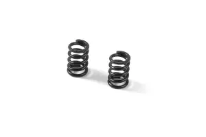 XRay Gear Box Spring C=13.0 (2)