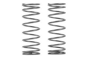 XRay Rear Spring Set Progressive C=0.5-0.6 (2)