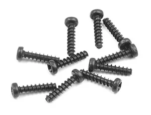 XRay Screw Phillips 2.2X10 (10)