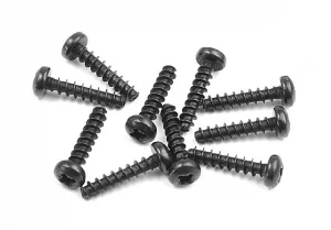 XRay Screw Phillips 2.5X12 (10)