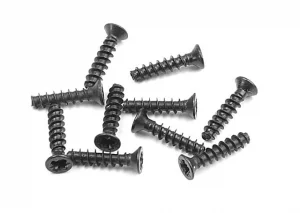 XRay Screw Phillips Fh 2.2X10 (10)