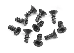 XRay Screw Phillips Fh 2.5X6 (10)
