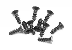 XRay Screw Phillips Fh 2.5X8 (10)