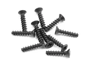 XRay Screw Phillips Fh 2.5X12 (10)