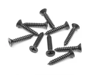 XRay Screw Phillips SS 3.5X19 (10)