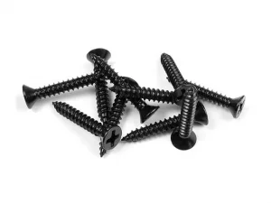 XRay Screw Phillips SS 3.5X22 (10)