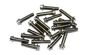 RC4WD Miniature Scale Hex Bolts (M2.5 x 10mm) (Silver)