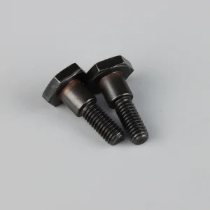 Zenoah Bolt M6x22mm (2 pcs)