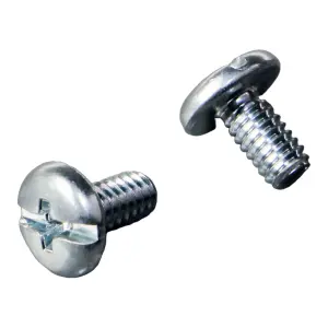 Zenoah Pump Cover Bolt (2 pcs)