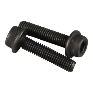 Zenoah Bolt M5x 22mm (2 pcs)