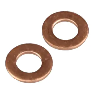 Zenoah Washers (2 pcs)