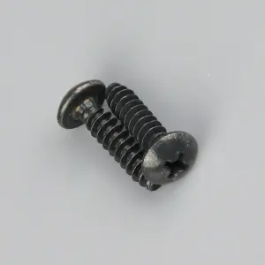 Zenoah Screw for Housing (2 pcs)