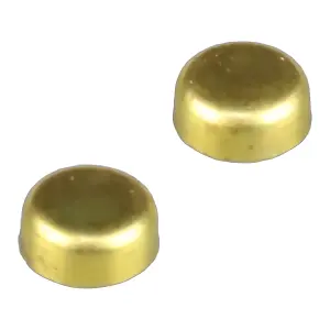 Zenoah Carburettor Cup Plug (2 pcs)