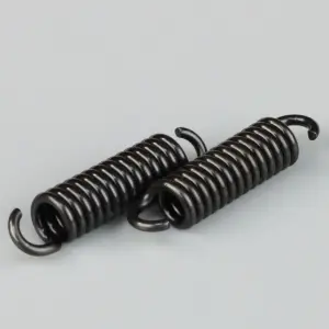 Zenoah Clutch Spring (2 pcs)