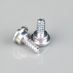 Zenoah Screw (2 pcs)
