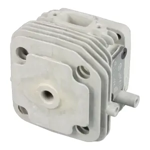 Zenoah Cylinder Assembly
