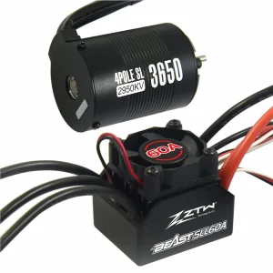 ZTW 1:10 Beast Sll 60A Combo + 4P Sl 3650B 2950Kv Motor