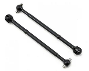 Associated CVA Bone B5/B5M