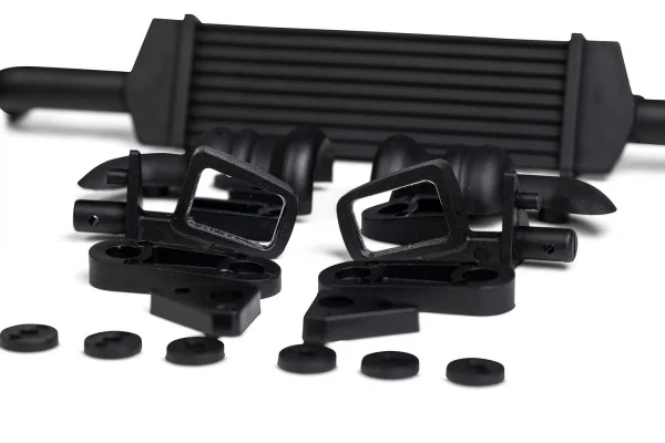 Body Parts Set
