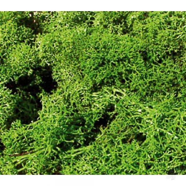 Heki 3210 Std Lichen Light Green