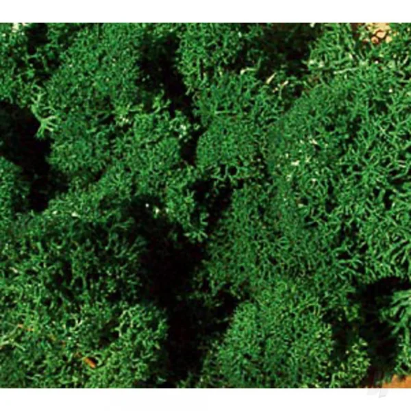 Heki 3211 Std. Lichen Dark Green