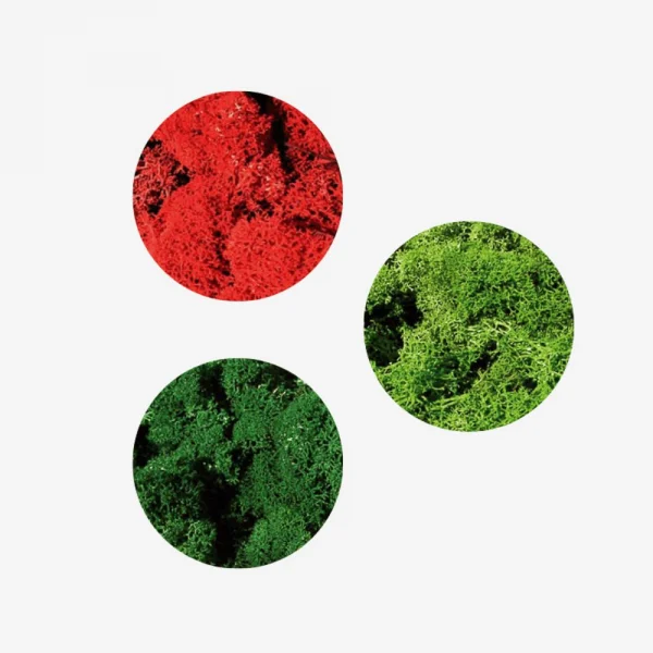 Heki 3232 Monster Lichen Mixed