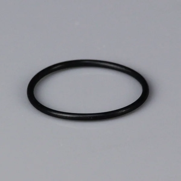 Force L009 Back Plate O Ring
