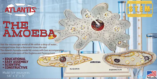 Atlantis Models Amoeba Single Cell Model Kit STEM — image 2 of 2
