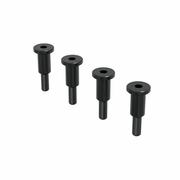 Ackermann Plate Screw (4pcs)