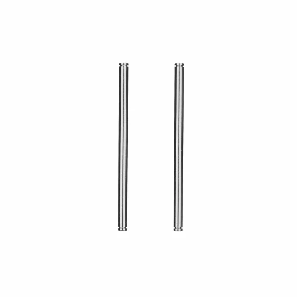 Team Associated RC10 91 Stealth Car Rear Inner Hinge Pins
