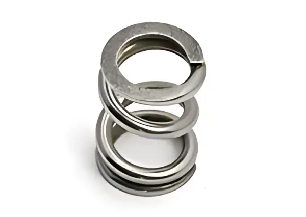 Slipper Spring — image 1 of 2