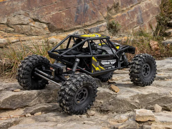 Axial UTB10 Capra RTR