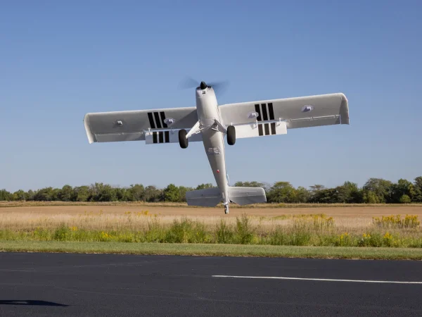 E Flite Timber 1.5m 10th Anniversary Special Edition - BNF Basic