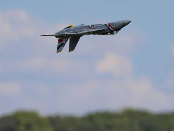 E Flite F-14 Tomcat Twin 40mm EDF - BNF Basic