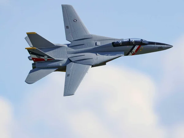 E Flite F-14 Tomcat Twin 40mm EDF - BNF Basic
