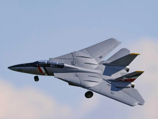 E Flite F-14 Tomcat Twin 40mm EDF - BNF Basic