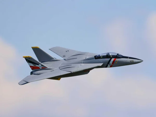 E Flite F-14 Tomcat Twin 40mm EDF - BNF Basic