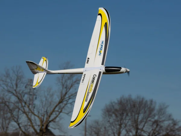 E Flite Conscendo Evolution 1.5m - BNF Basic