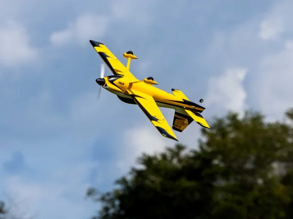 E Flite Sportix 1.1m - BNF Basic with AS3X And SAFE Select