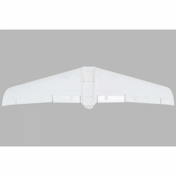Painted Wing V1200