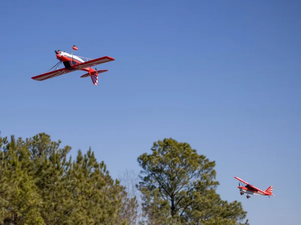 E Flite Super Decathlon 1.2m - PNP