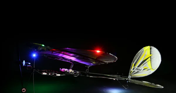 E Flite Night Vapor UMX - BNF Basic