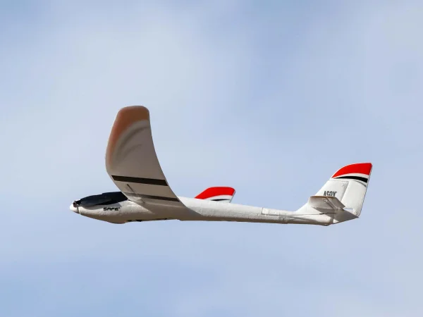 E Flite Radian UMX - BNF Basic