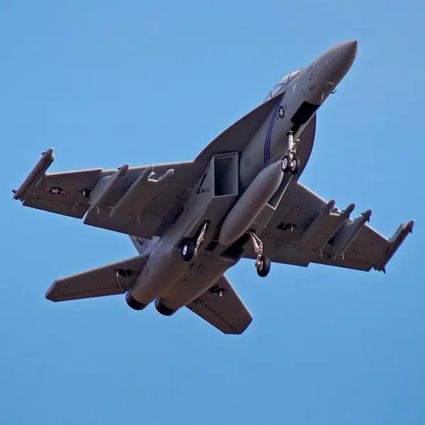 FMS 875mm F/A-18F 70mm EDF ARTF - Grey &mdash; image 25 of 30