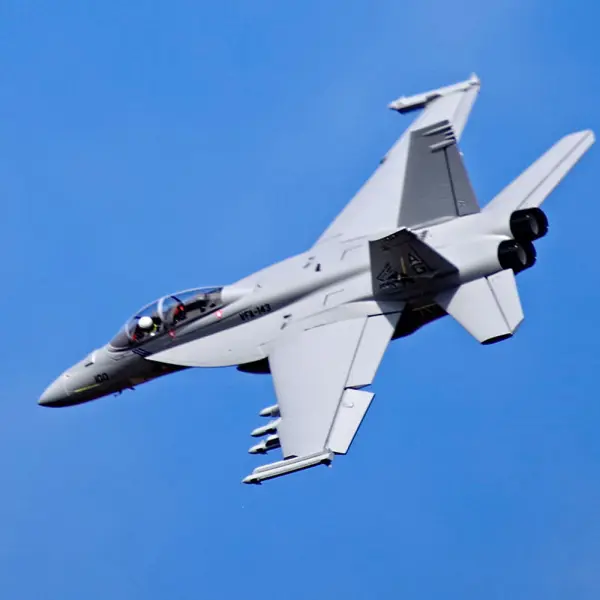 FMS 875mm F/A-18F 70mm EDF ARTF - Grey &mdash; image 27 of 30