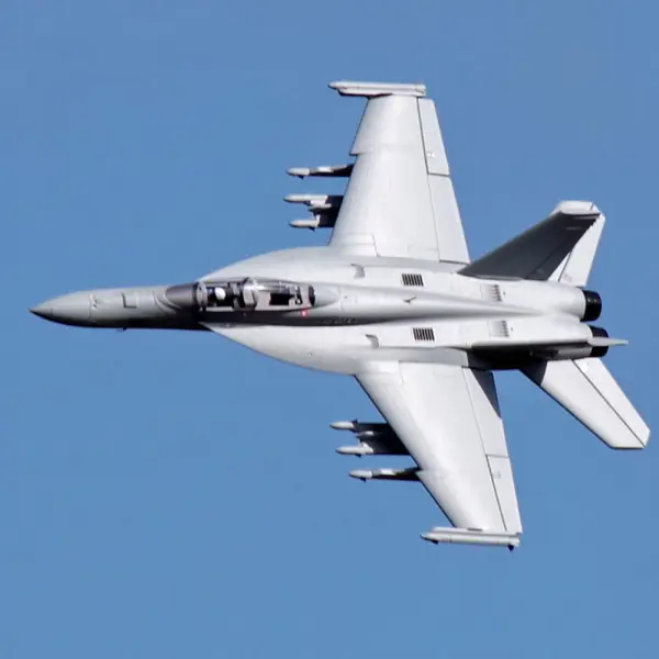FMS 875mm F/A-18F 70mm EDF ARTF - Grey &mdash; image 28 of 30